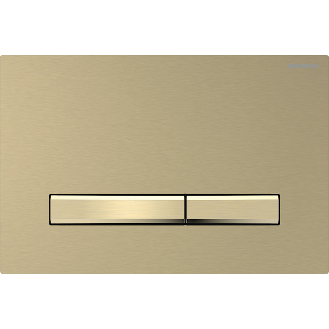 115.672.QF.2 Geberit flush plate