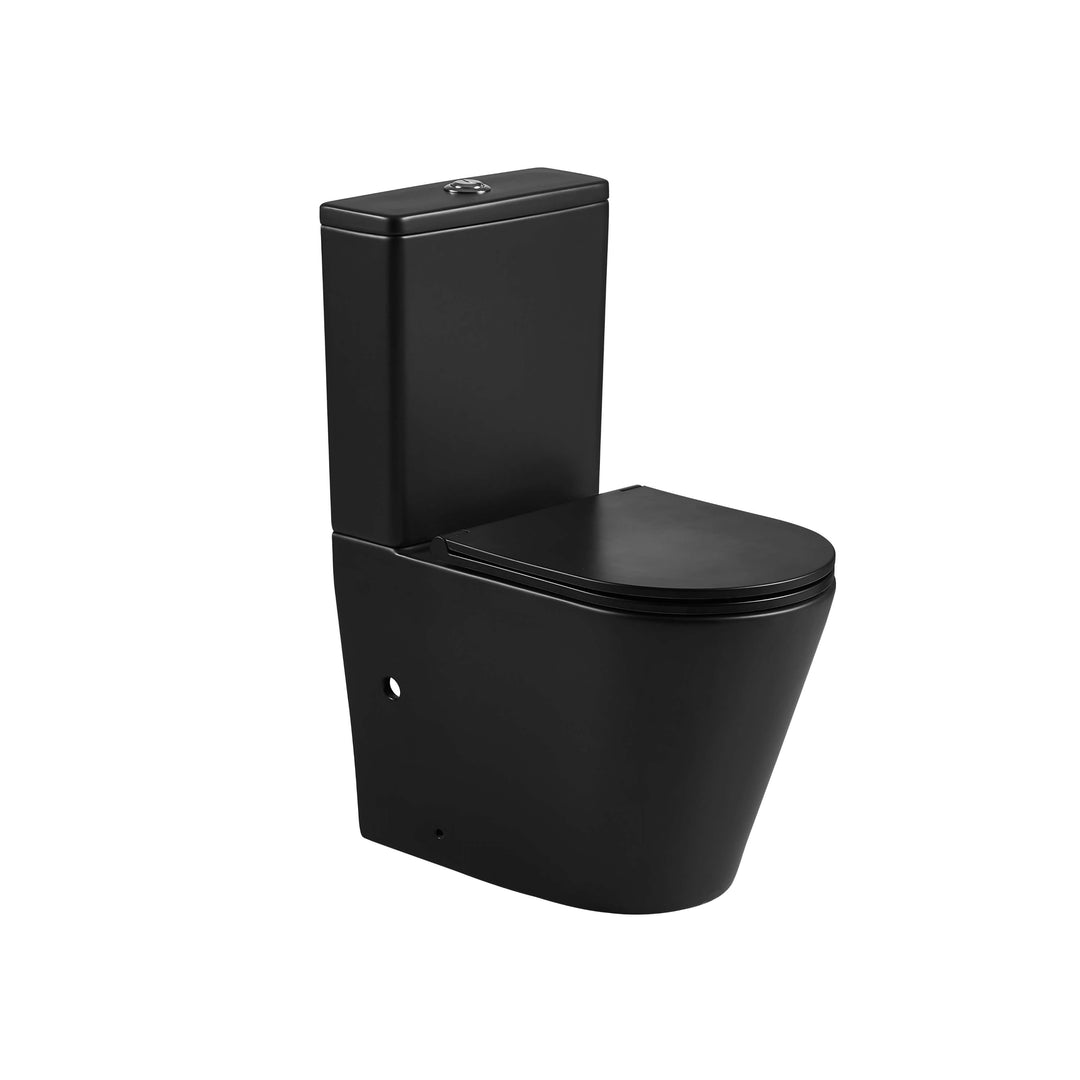 Berlin Back-to-Wall Toilet Suite