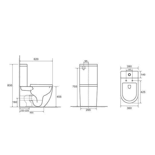 DIANA Tornado Rimless Back To Wall Toilet Suite