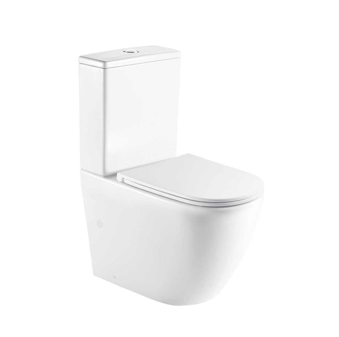 Hani Back-To-Wall Toilet Suite