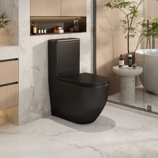 Norton Back-to-Wall Toilet Suite