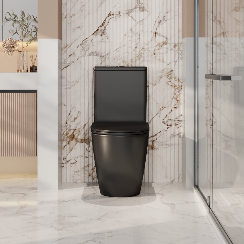 Norton Back-to-Wall Toilet Suite