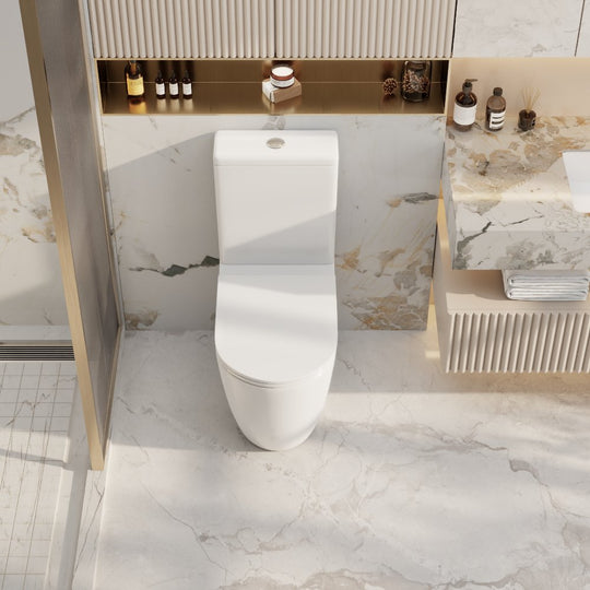 Norton Back-to-Wall Toilet Suite