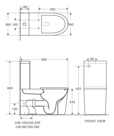 Pani Care-Accessible Back-to-Wall Toilet