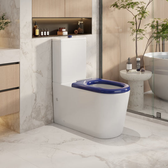 Pani Care-Accessible Back-to-Wall Toilet