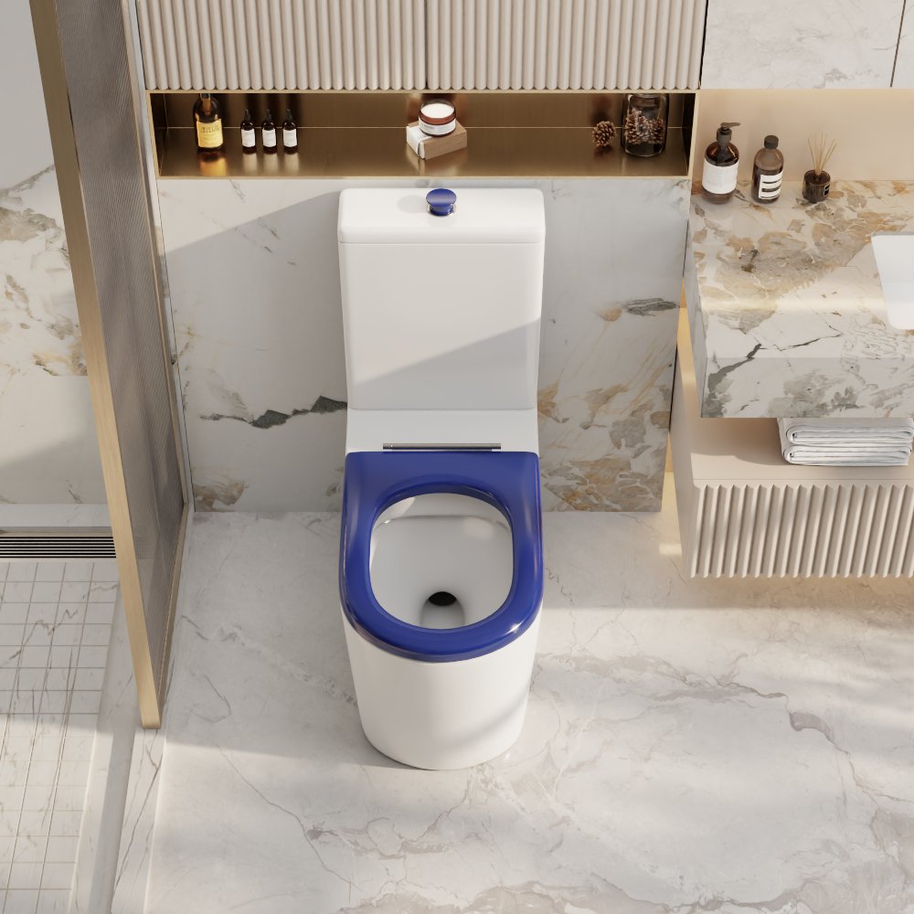 Pani Care-Accessible Back-to-Wall Toilet