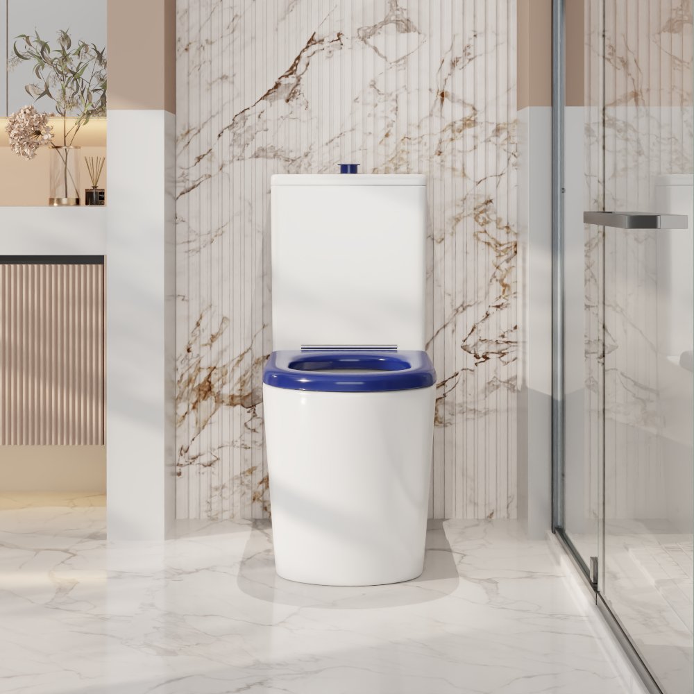 Pani Care-Accessible Back-to-Wall Toilet