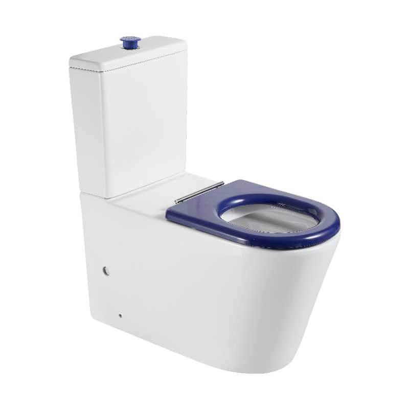 Toilettes accessibles au mur Pani Care