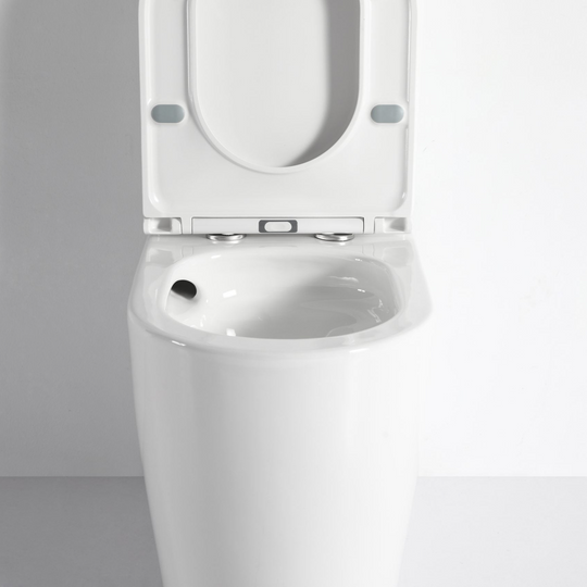 Walton Back-to-Wall Toilet Suite